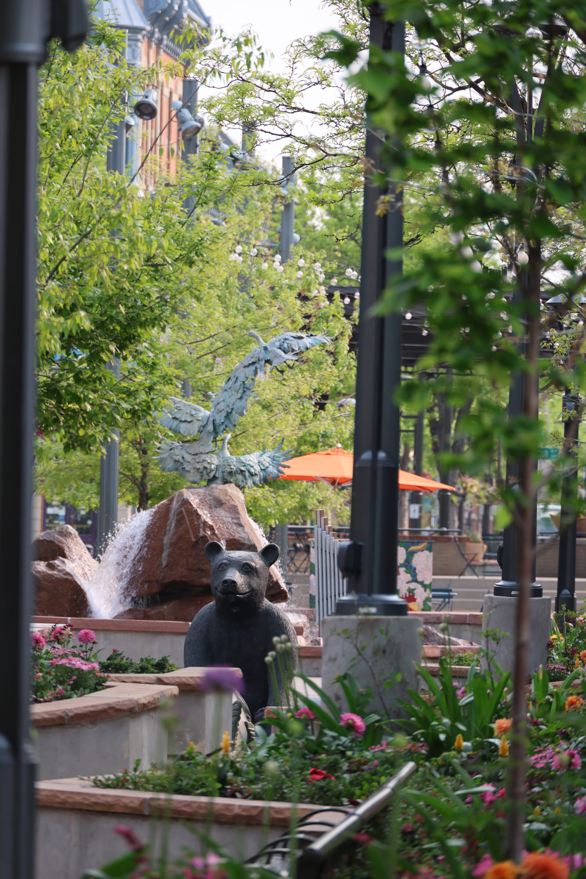 Outreach Fort Collins staff member assisting the community